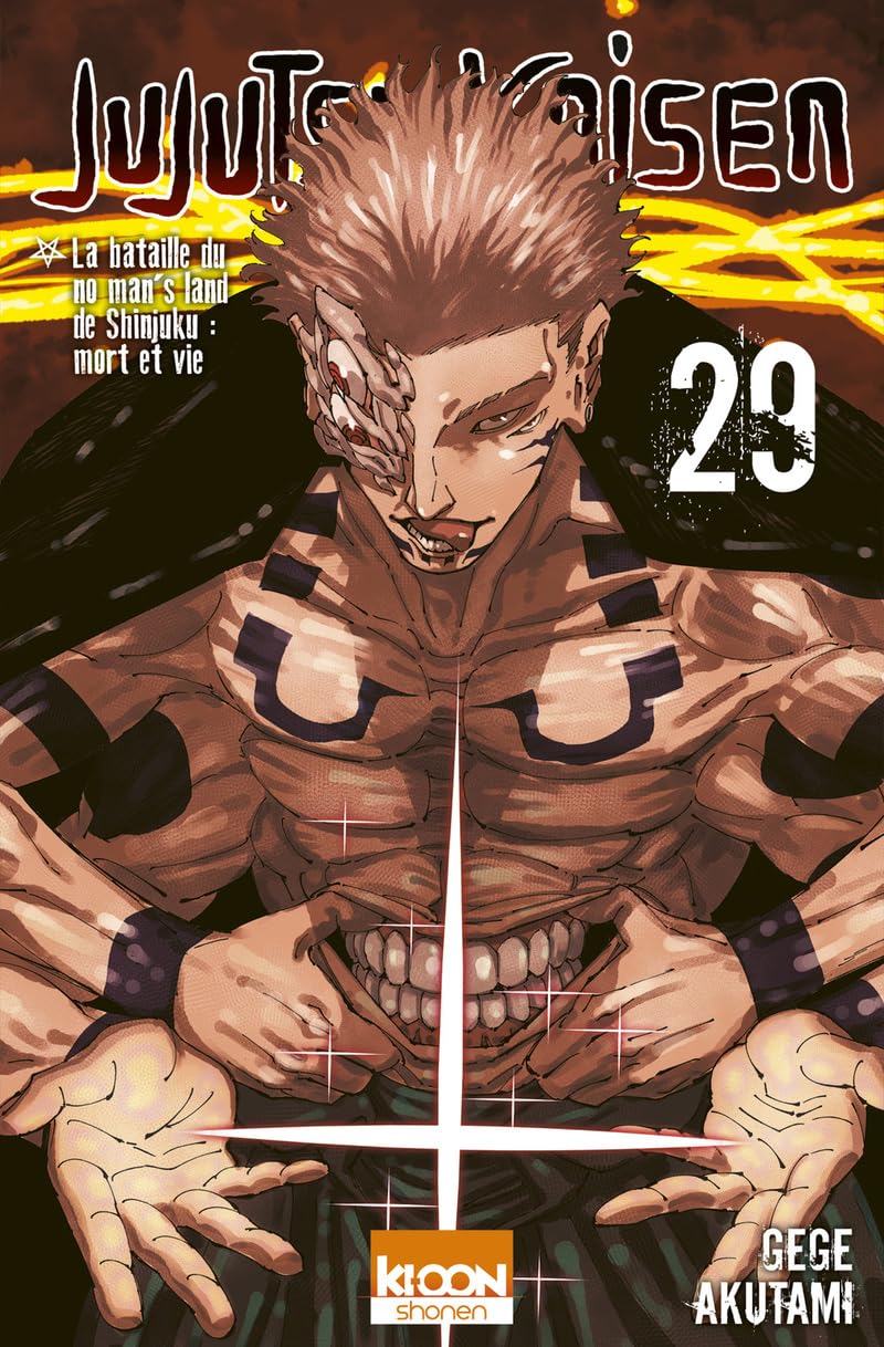 jaquette album Jujutsu Kaisen T29 (29)
