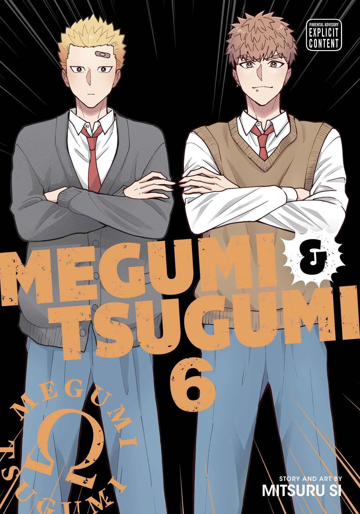 jaquette album Megumi & Tsugumi, Vol. 6 (Volume 6)