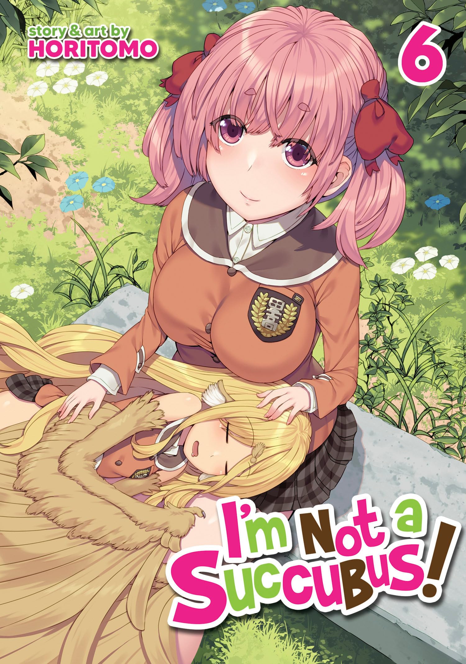 jaquette livre I'm Not a Succubus! Vol. 6