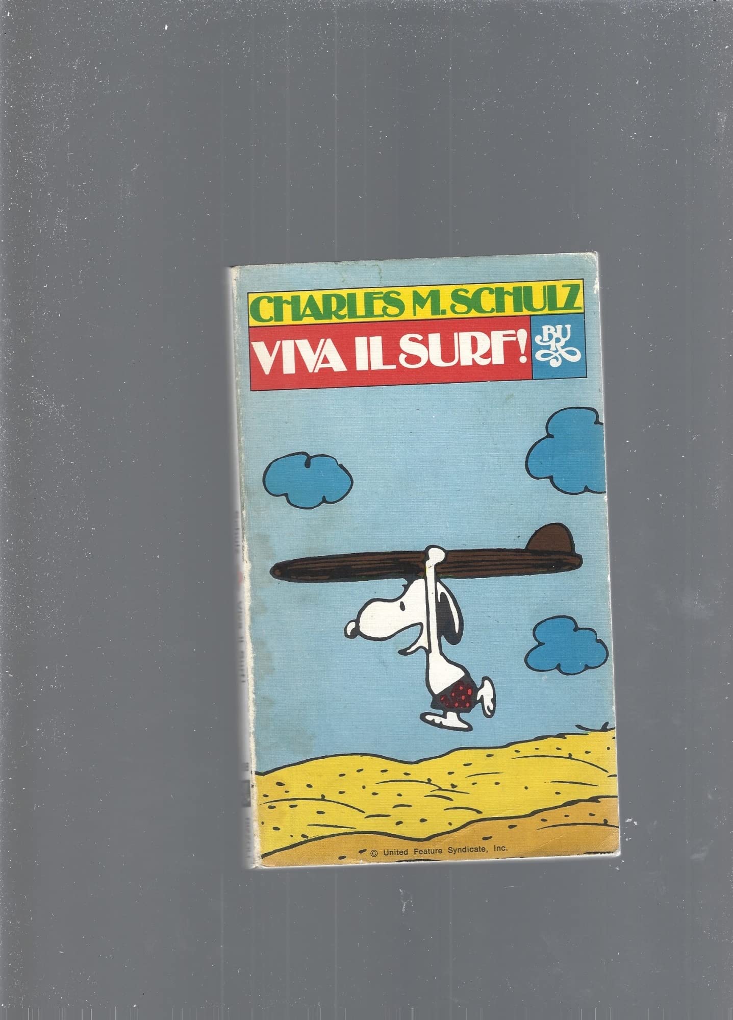 jaquette album Viva il surf!