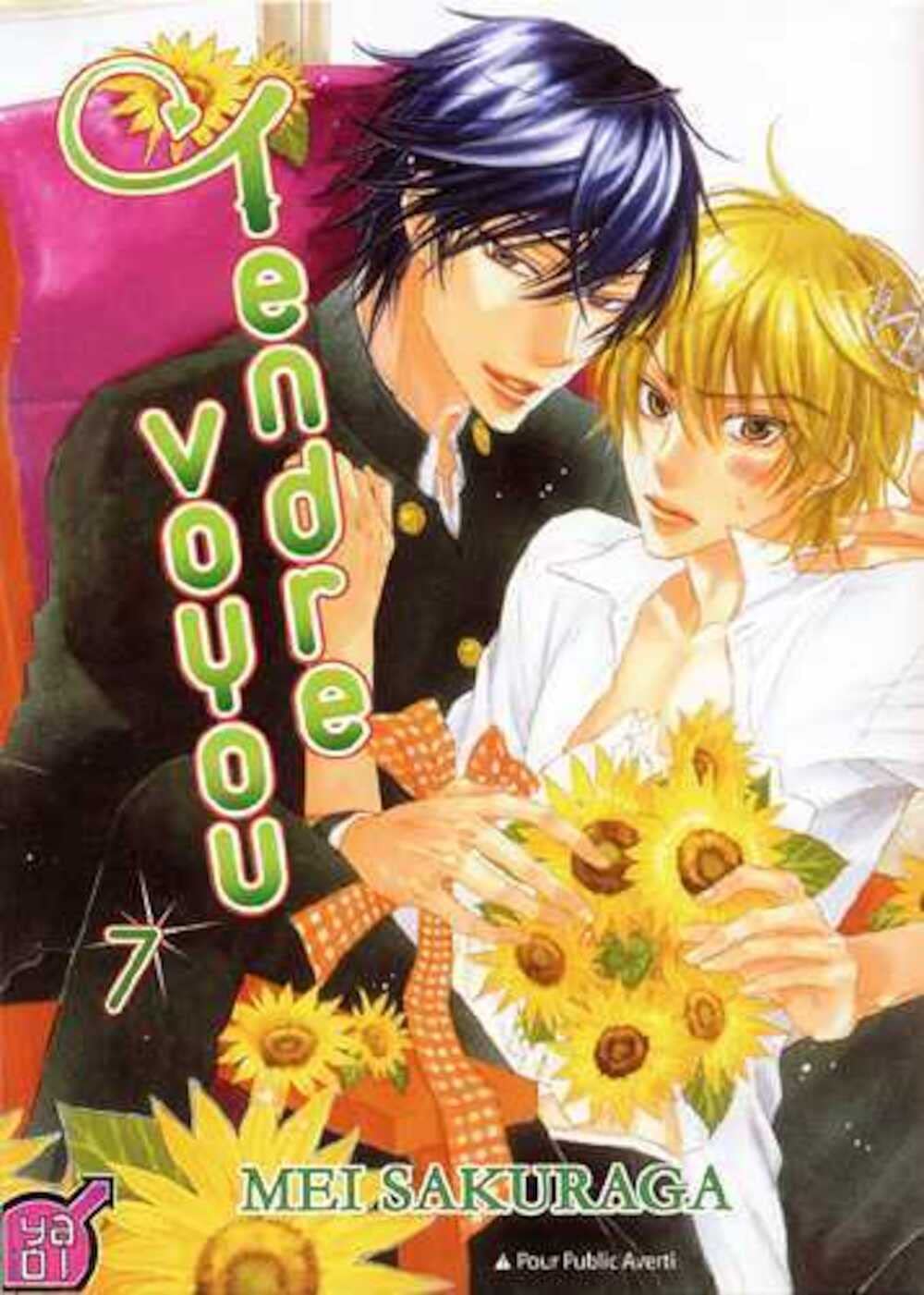 jaquette album Tendre Voyou T07