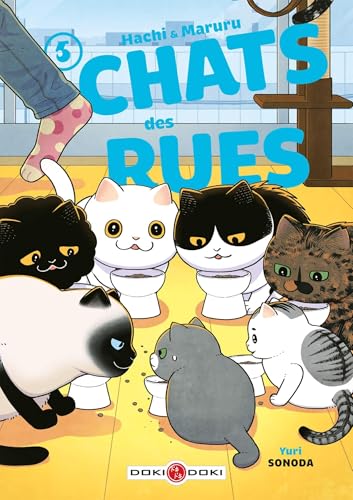 jaquette album Hachi et Maruru - Chats des rues - Tome 5