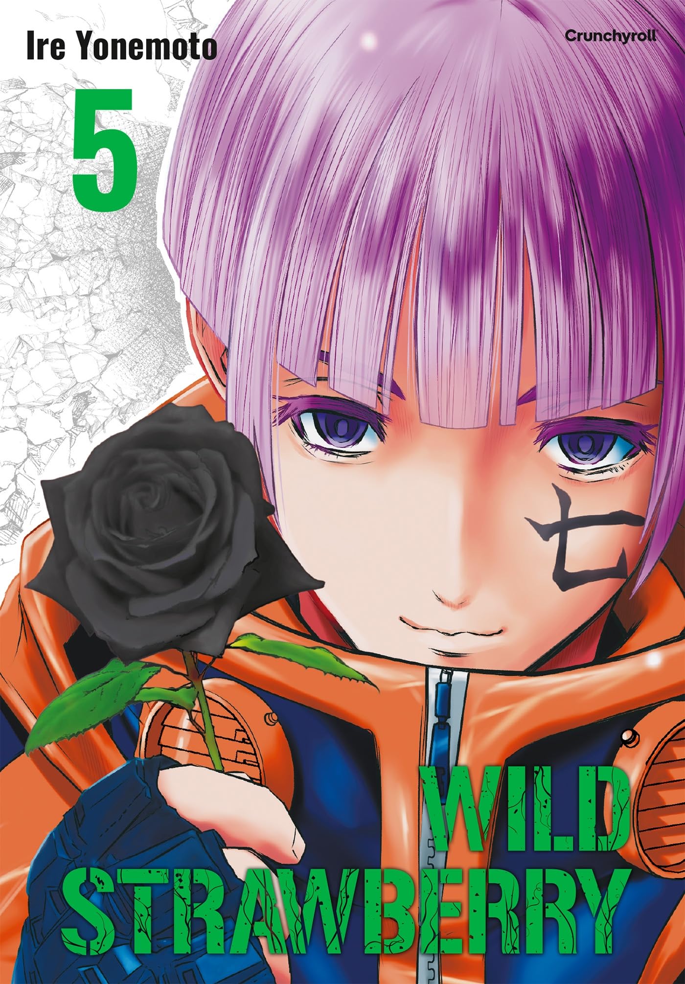 jaquette album WILD STRAWBERRY T05