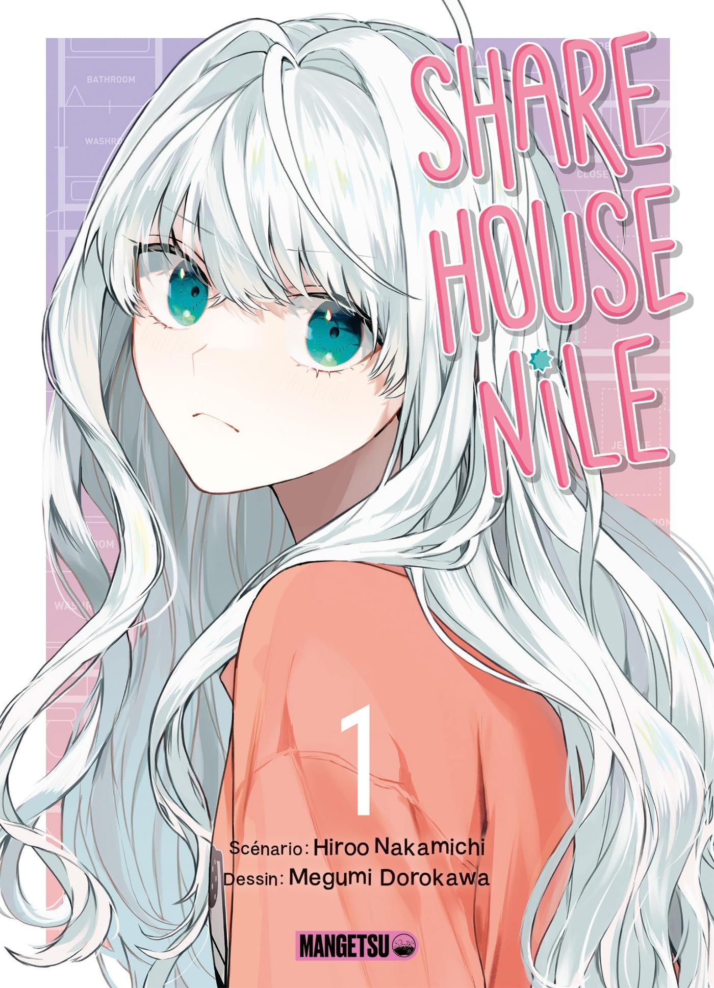 jaquette album Sharehouse Nile T01