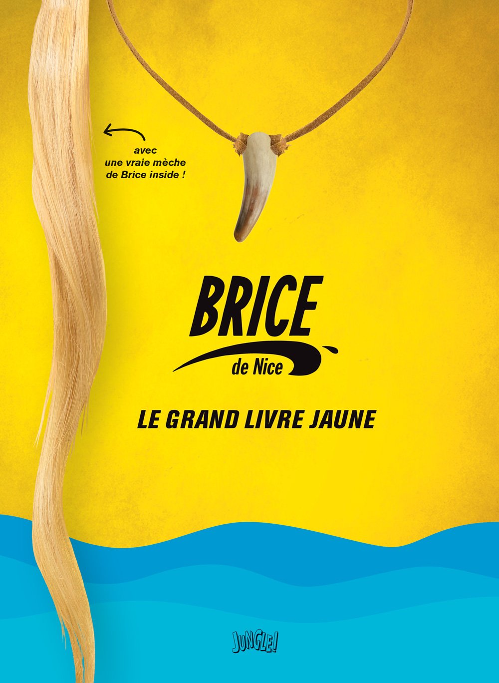 jaquette album Brice de Nice, le grand livre jaune
