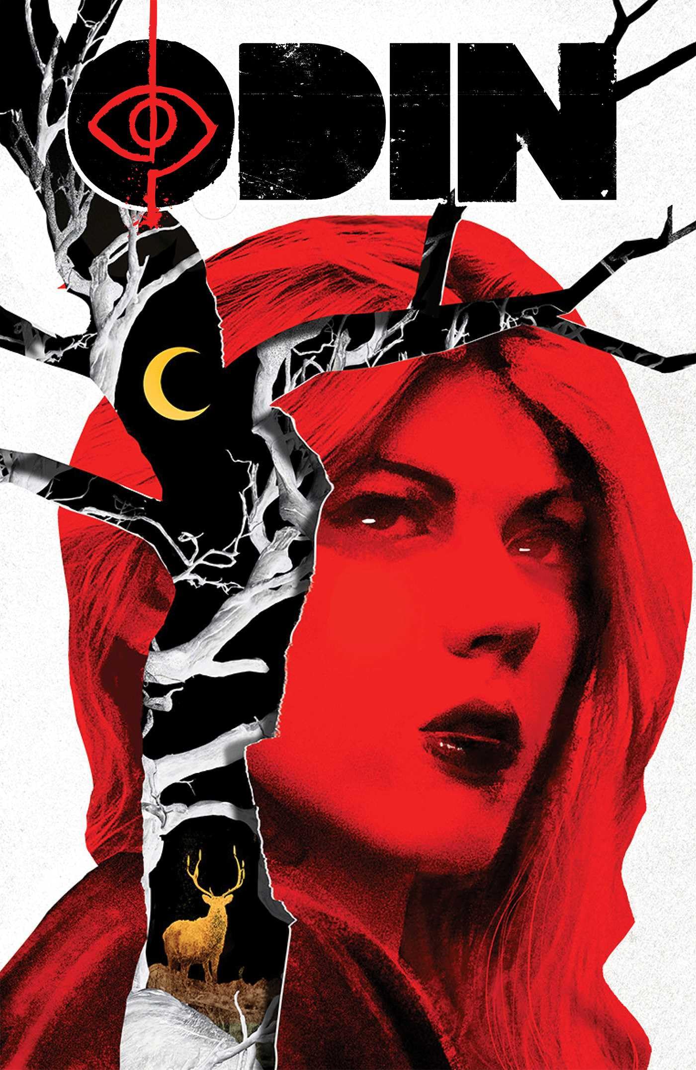 jaquette album ODIN Book One