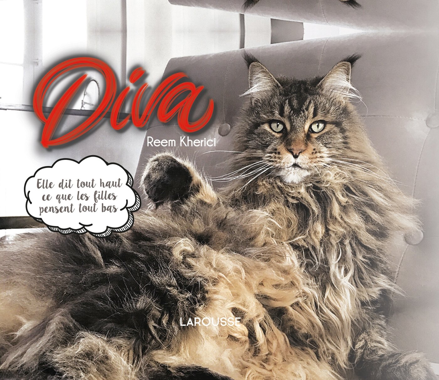 jaquette livre Diva