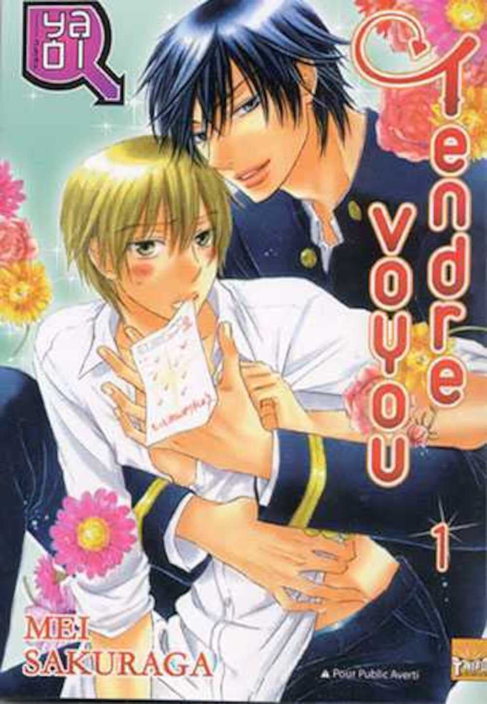 jaquette album Tendre voyou