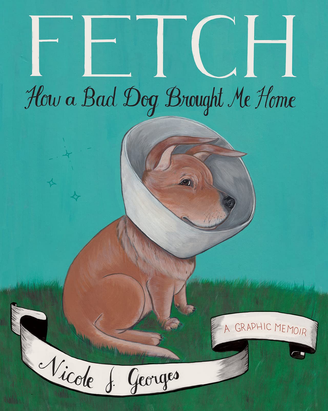 jaquette album Fetch: How a Bad Dog Brought Me Home
