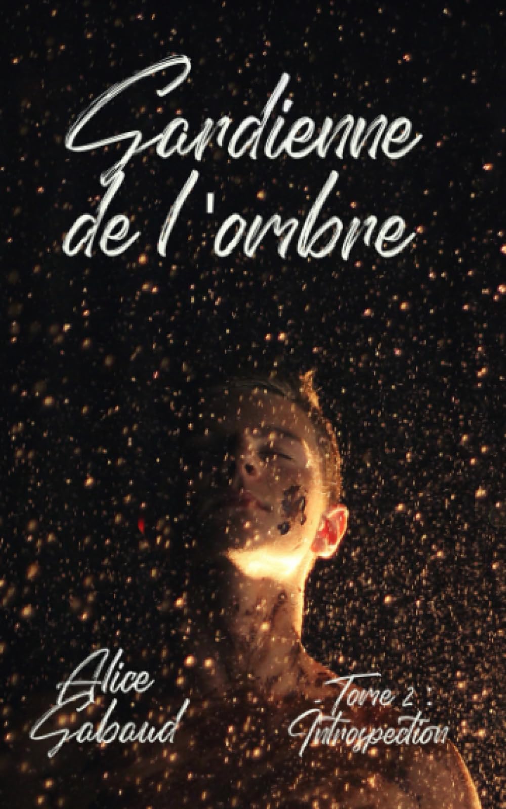 jaquette album Gardienne de l'ombre: tome 2 : Introspection