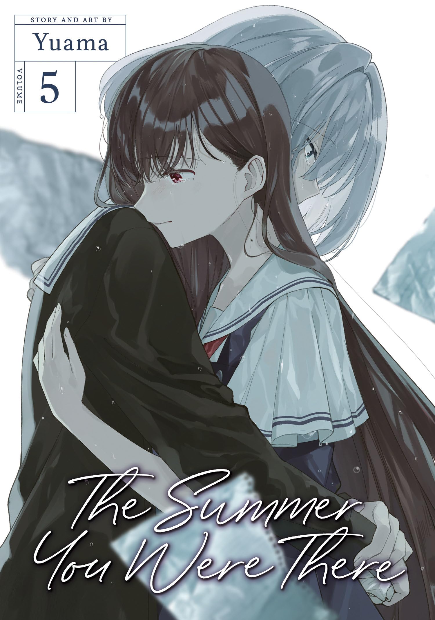 jaquette album The Summer You Were There Vol. 5