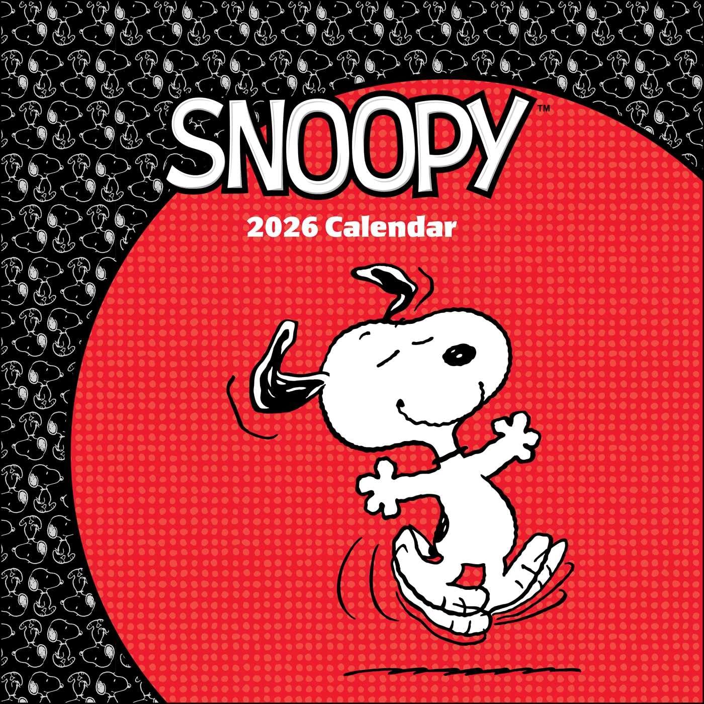 jaquette livre Peanuts®: Snoopy 2026 Wall Calendar
