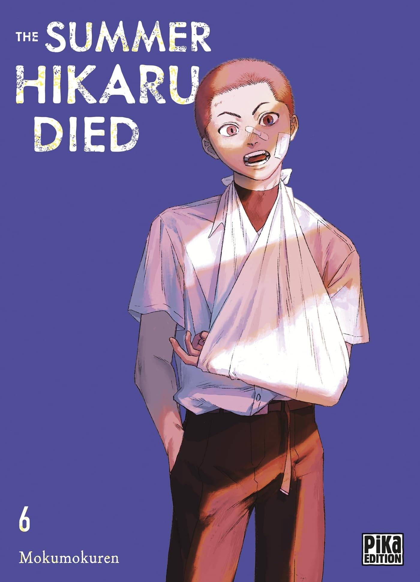 jaquette album The Summer Hikaru Died T06