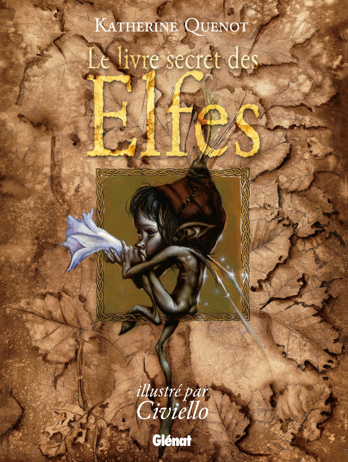 jaquette livre Le Livre secret des elfes