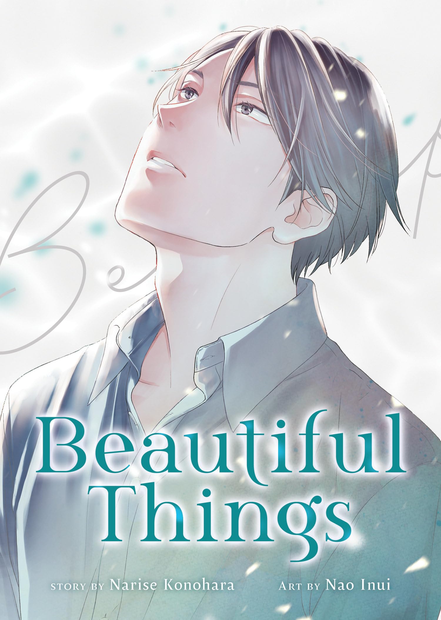 jaquette album Beautiful Things: The Complete Manga Collection