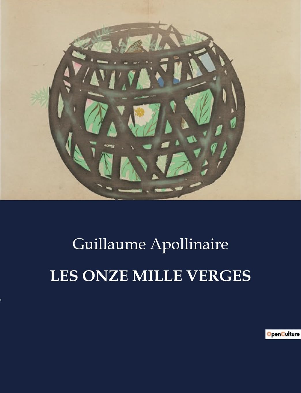jaquette album LES ONZE MILLE VERGES