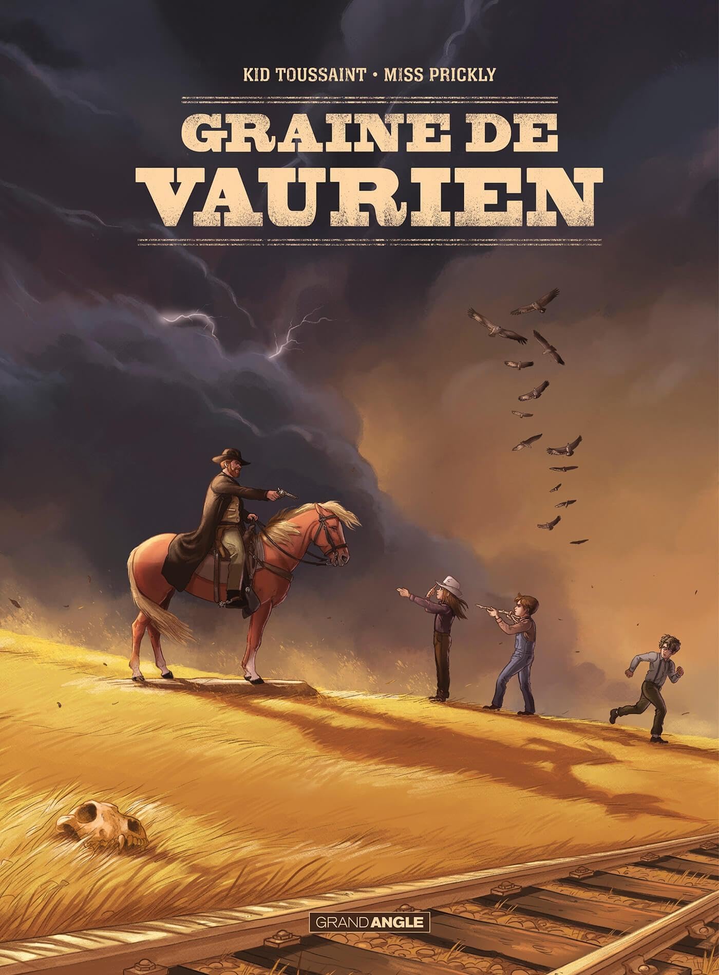 jaquette album Graine de Vaurien - histoire complète: Histoire complète