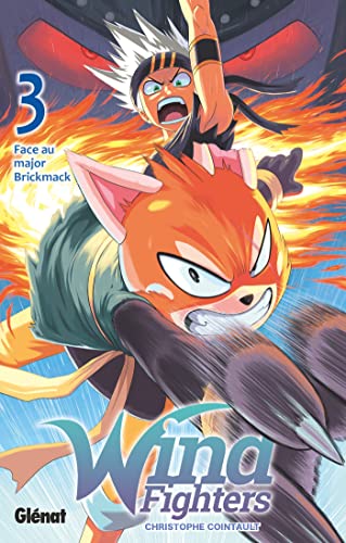 jaquette album Wind Fighters - Tome 3