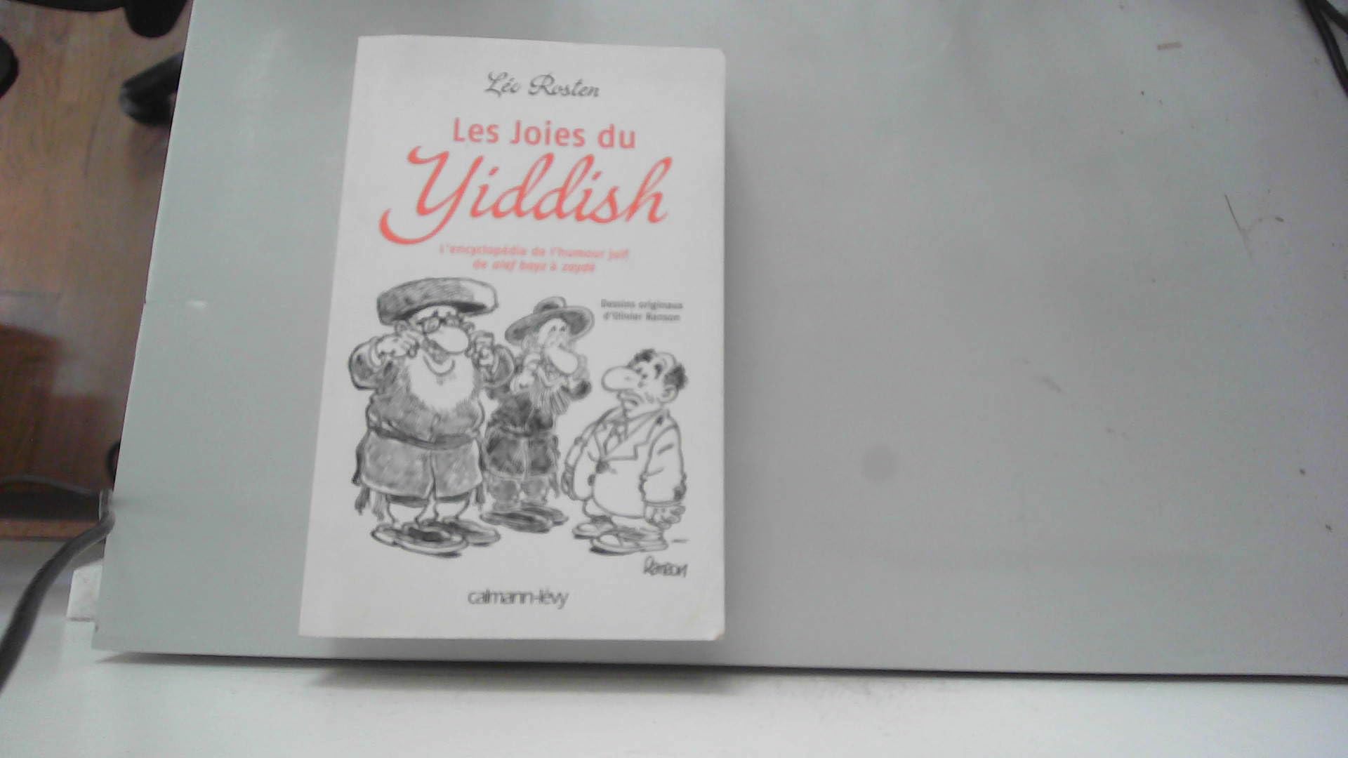 jaquette livre Les Joies du Yiddish: L'Encyclopédie de l'humour juif de alef bayz à zaydè
