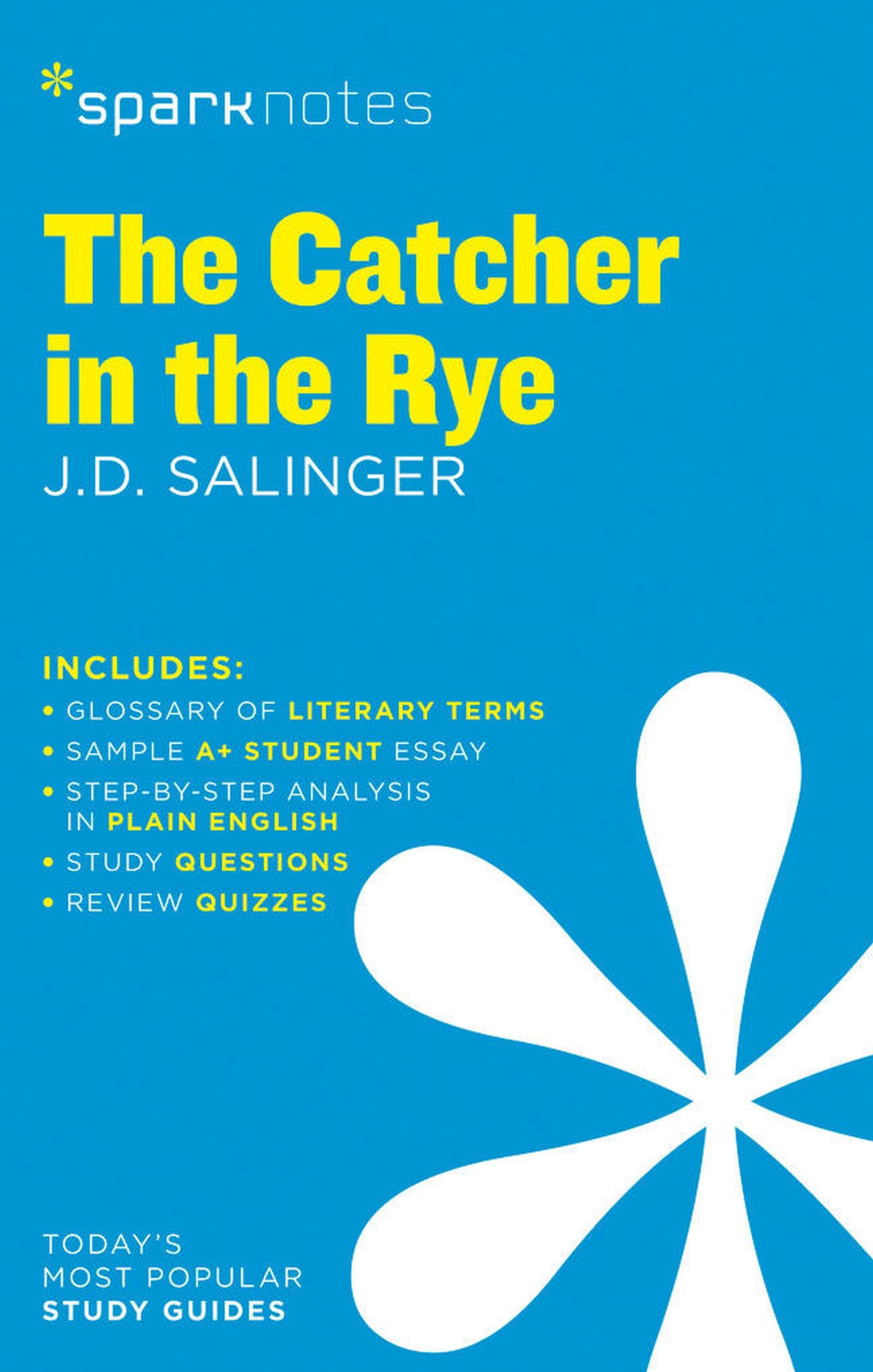 jaquette album The Catcher in the Rye