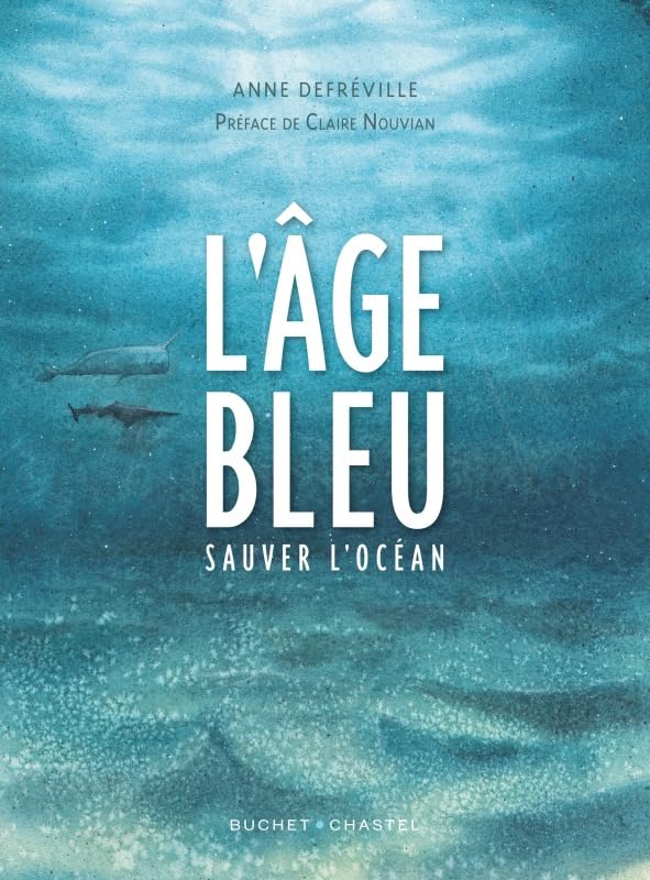 jaquette album L'âge Bleu