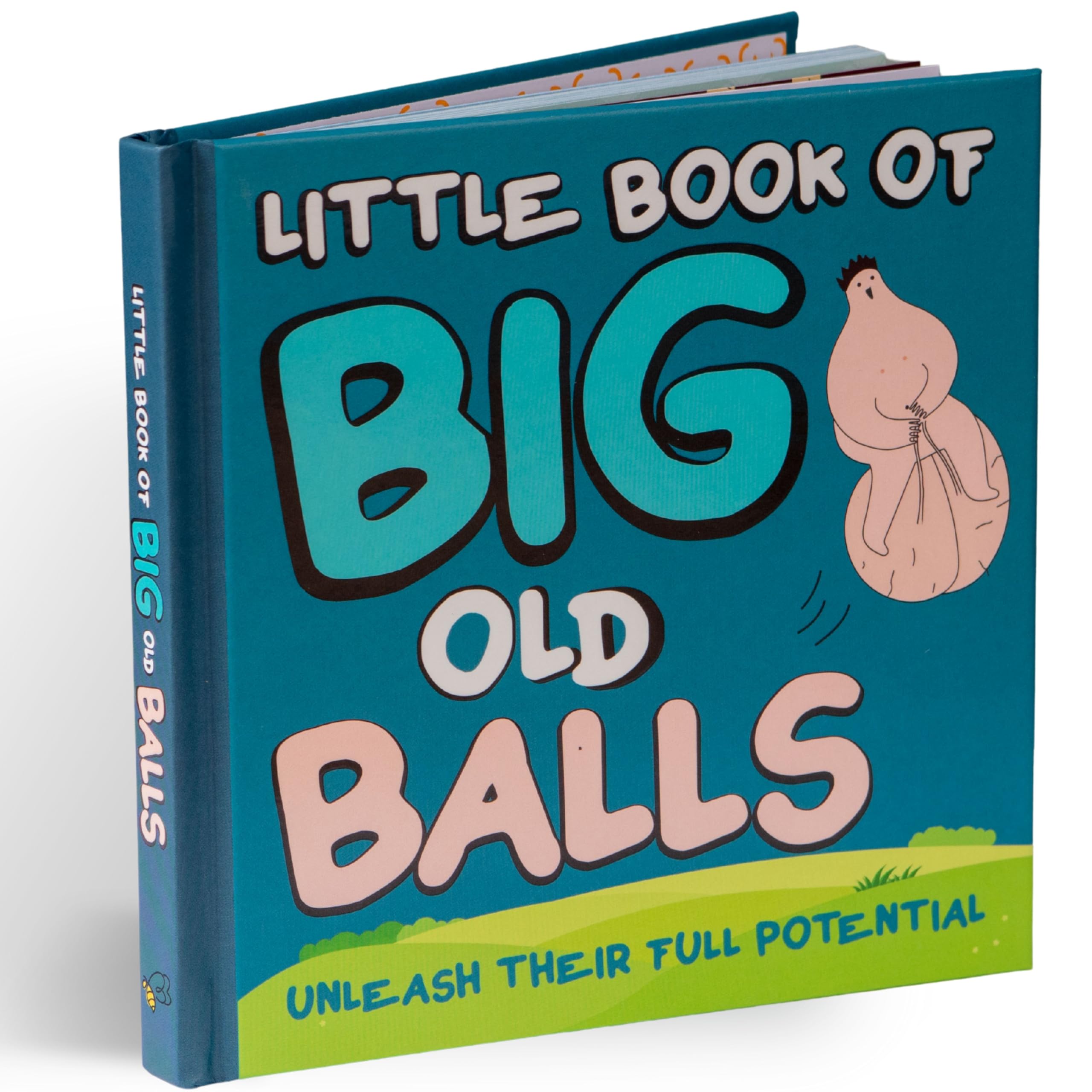 jaquette album Little Book of Big Old Balls