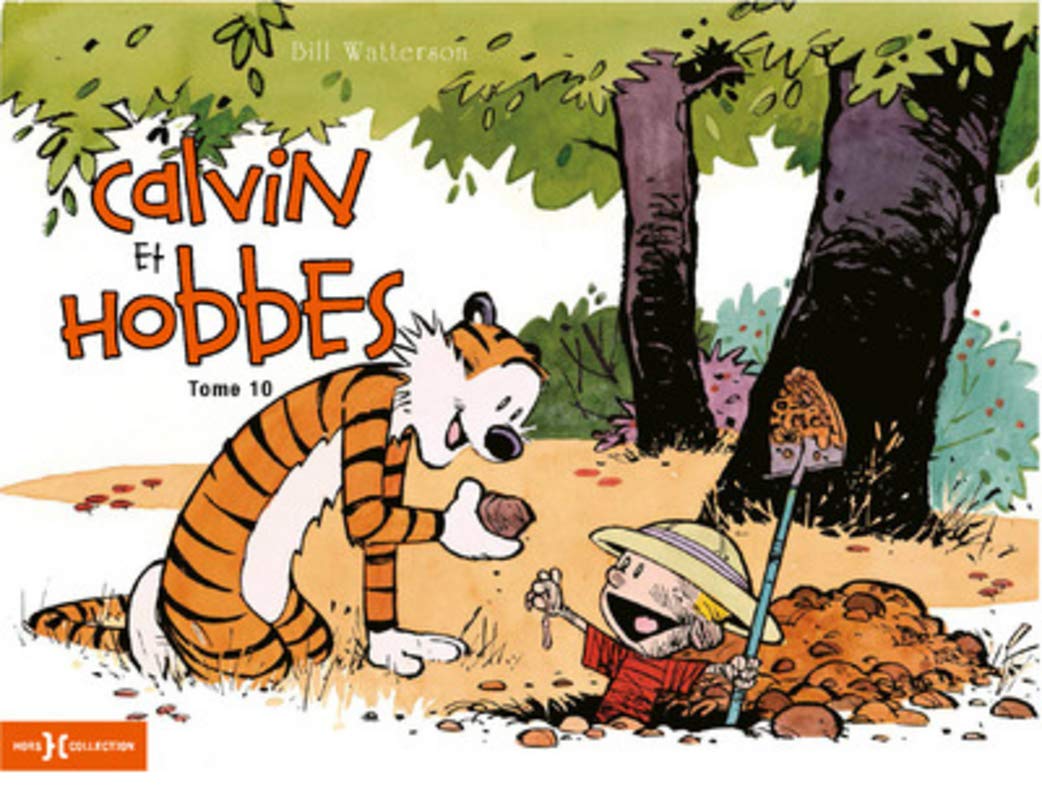 jaquette album Calvin & Hobbes original T10 (10)