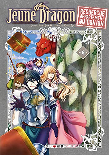 jaquette album Jeune dragon recherche appartement ou donjon - Tome 6