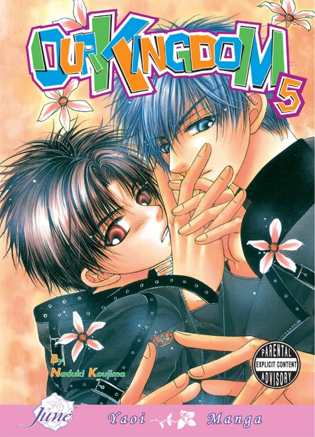 jaquette album Our Kingdom Volume 5 (Yaoi)
