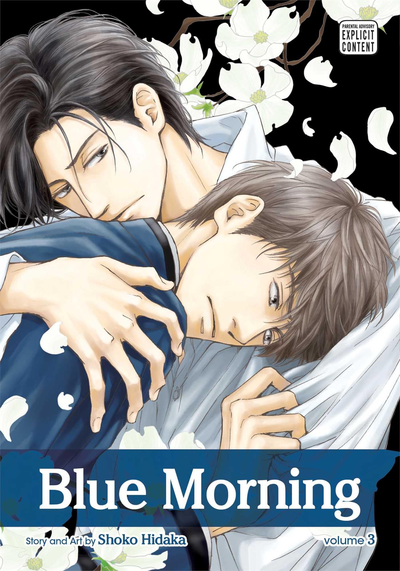jaquette album Blue Morning Volume 3