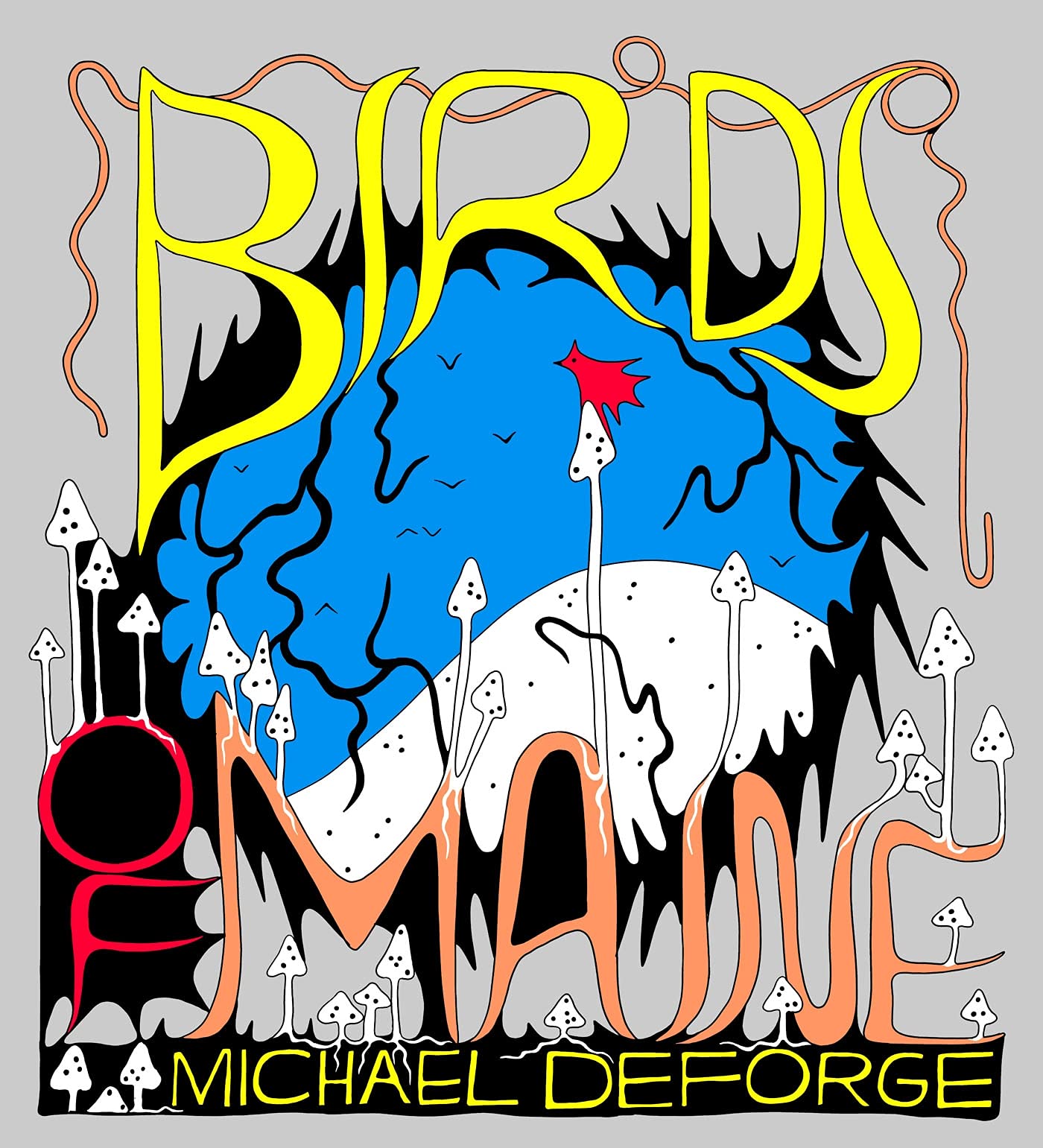 jaquette album Birds of Maine