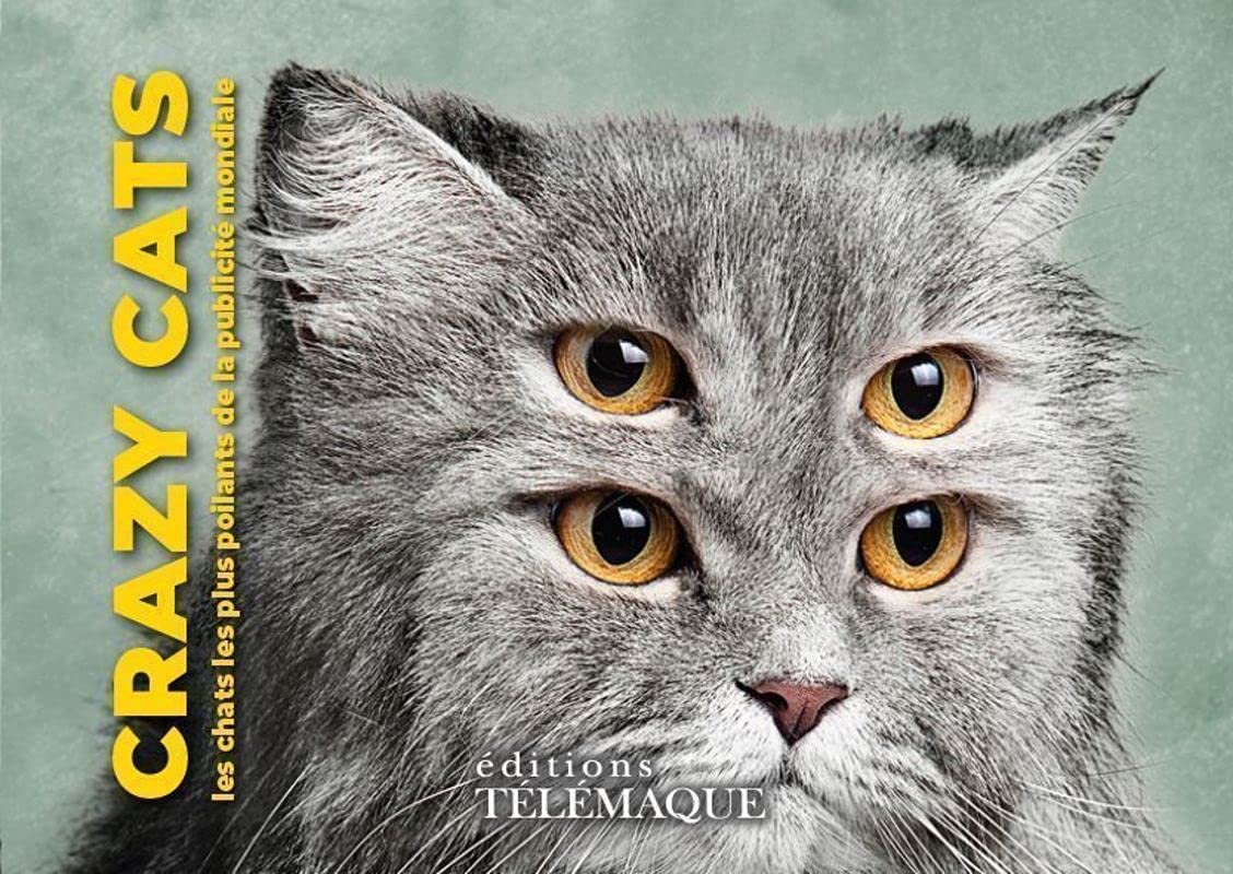 jaquette album Crazy cats