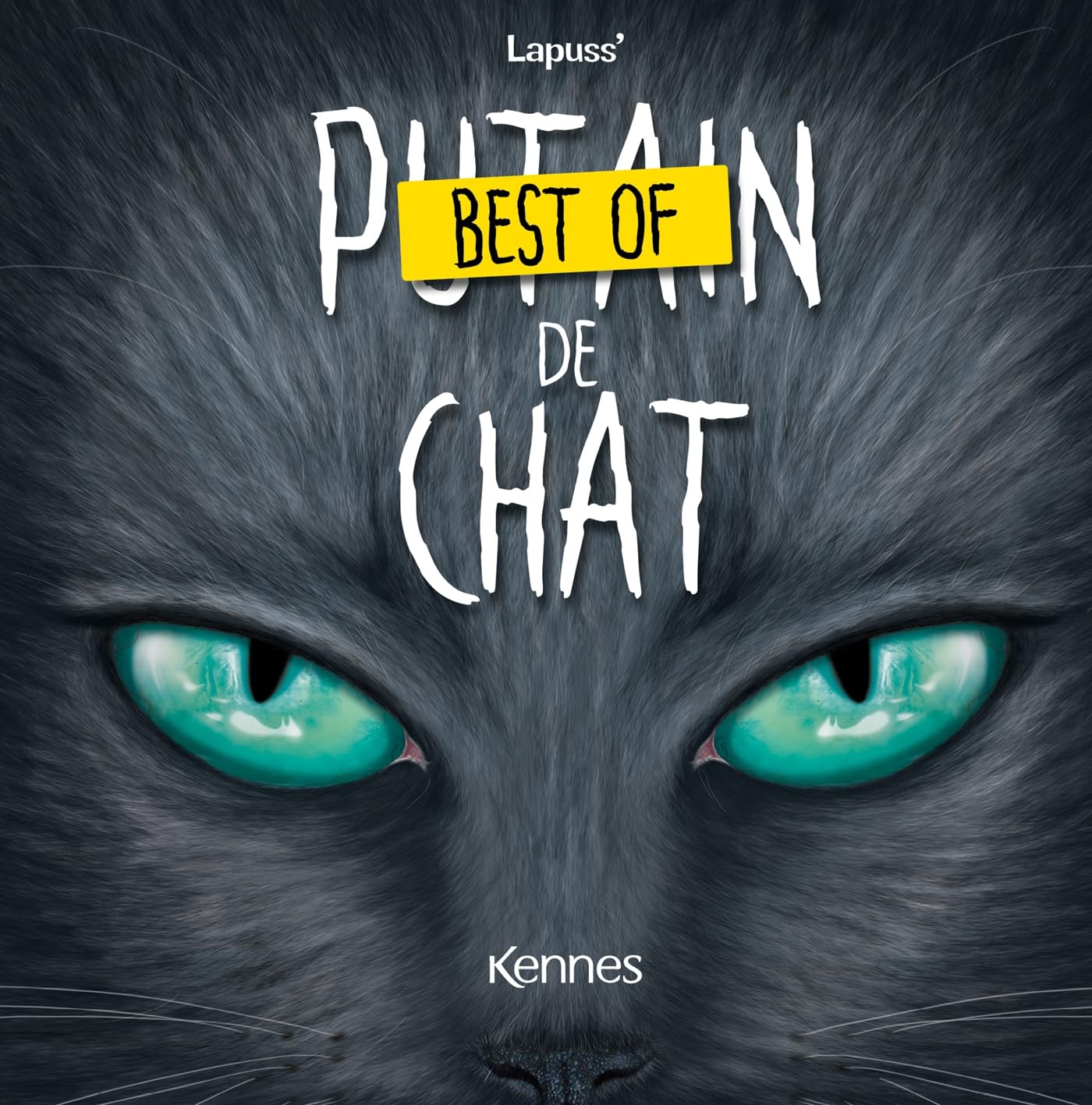 jaquette album Best of Putain de chat