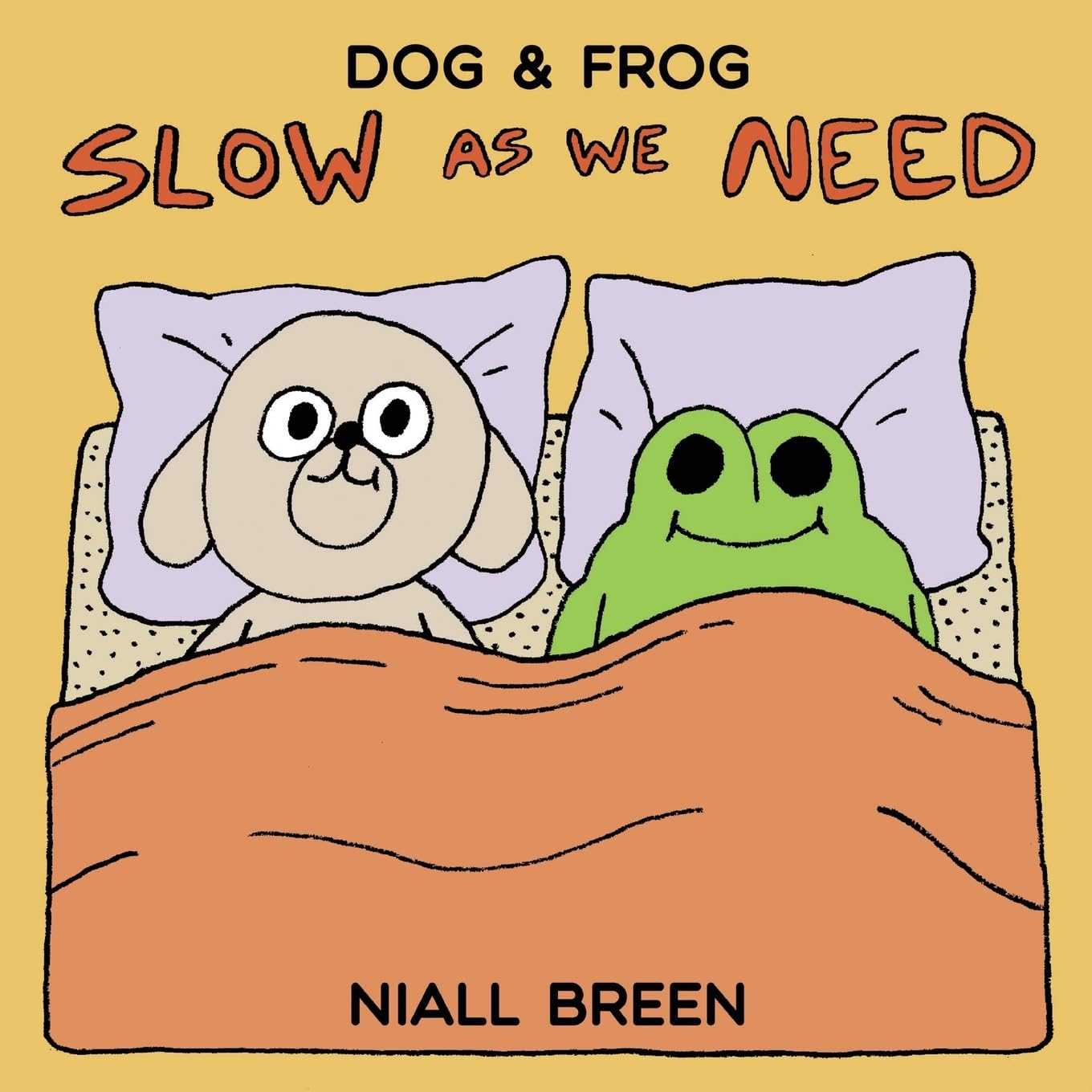 jaquette album Slow As We Need