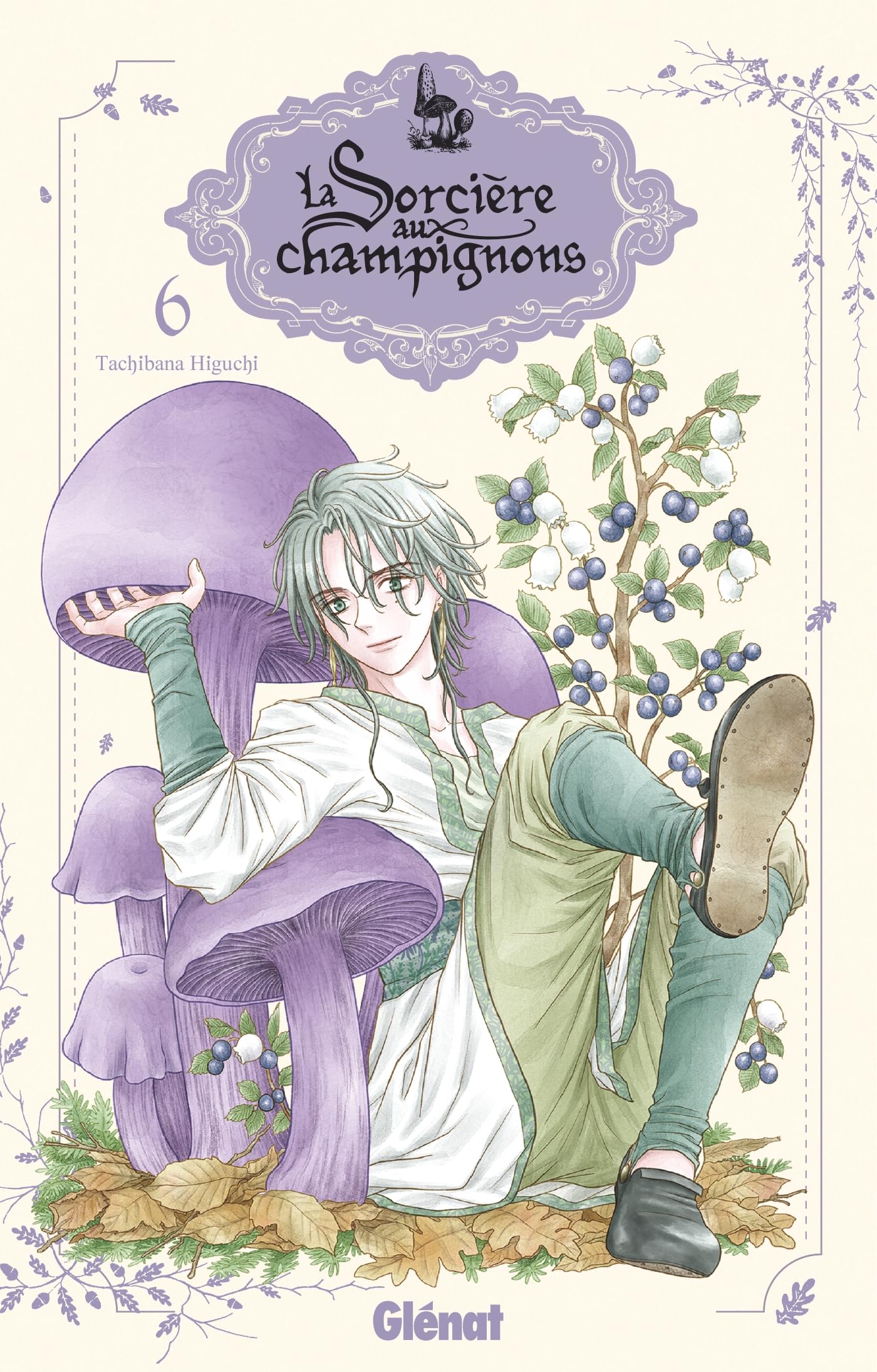 jaquette album La sorcière aux champignons - Tome 06
