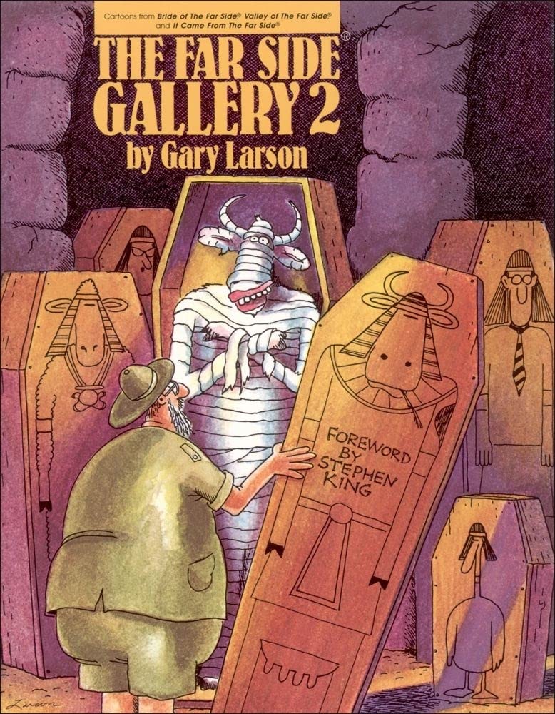 jaquette livre The Far Side Gallery 2