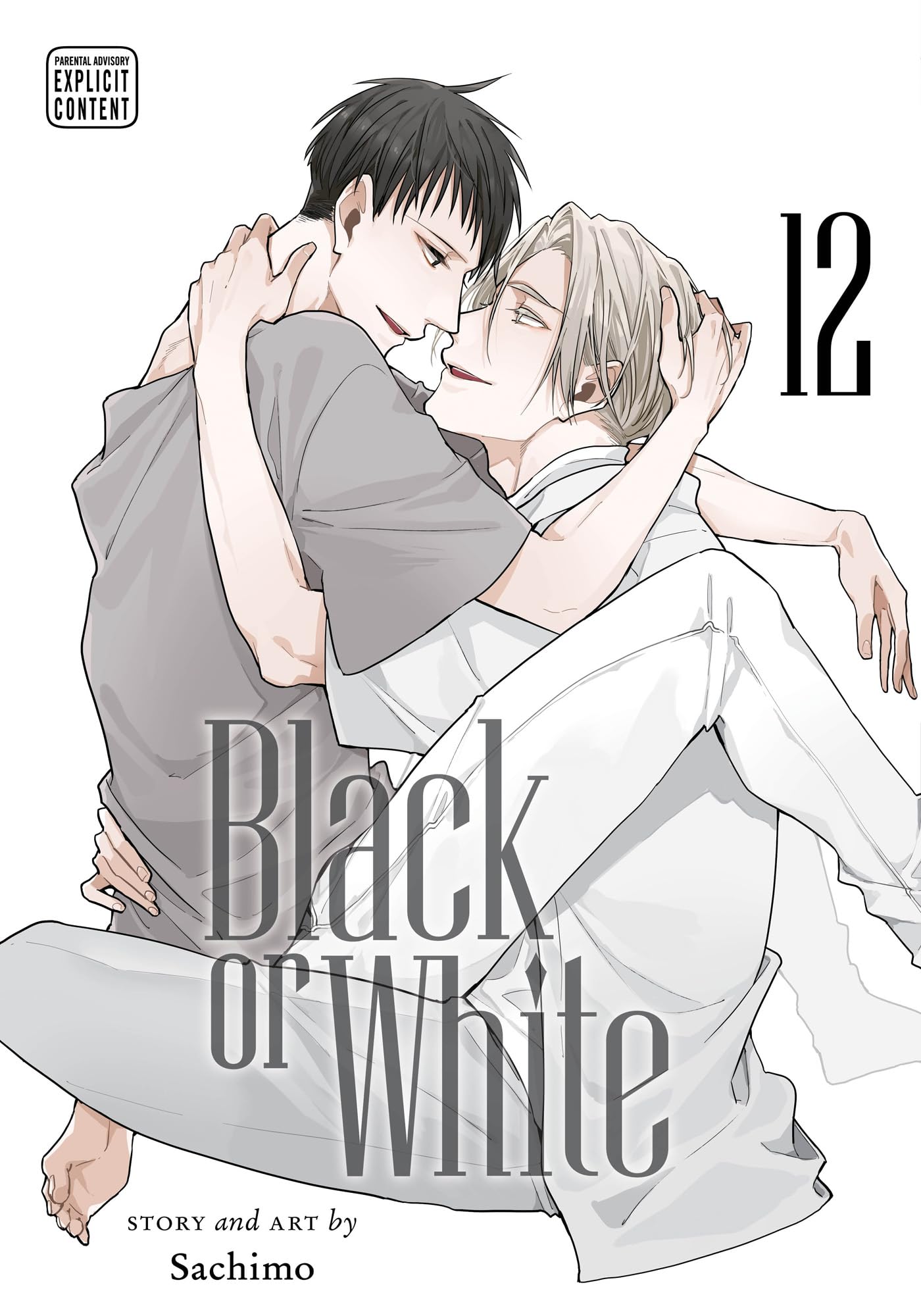 jaquette album Black or White 12
