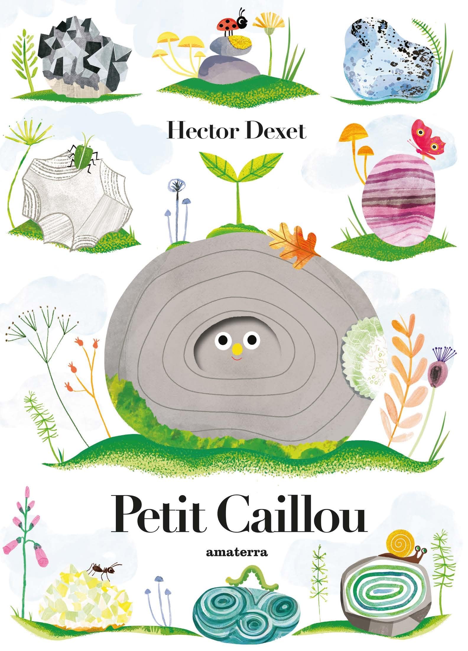 jaquette album Petit caillou