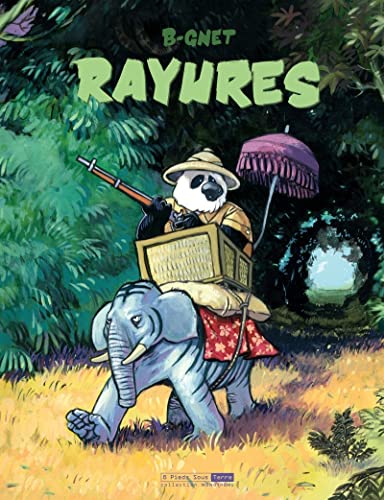 jaquette album Rayures