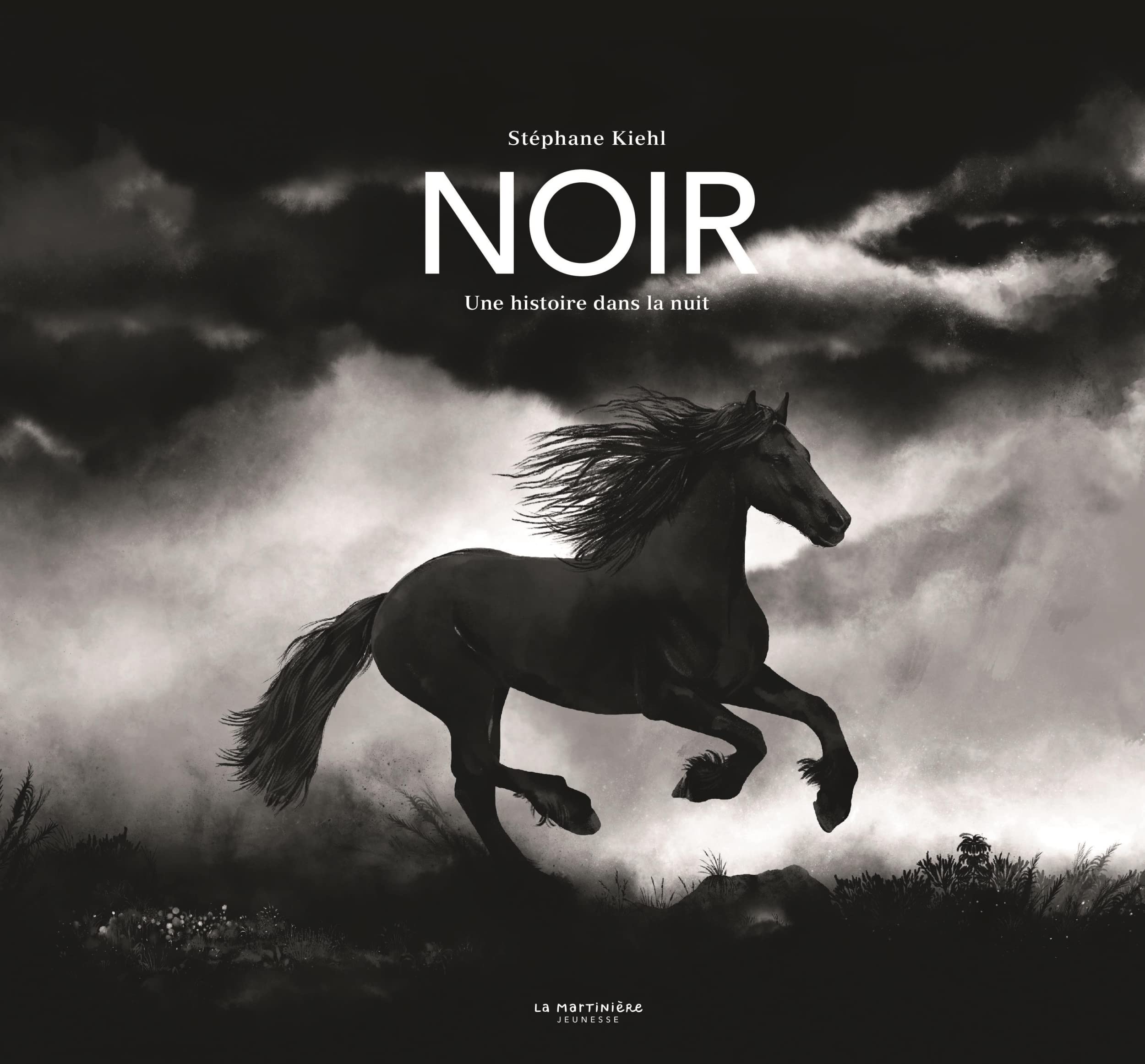 jaquette album Noir