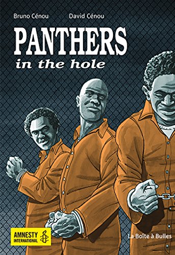 jaquette album Panthers In The Hole