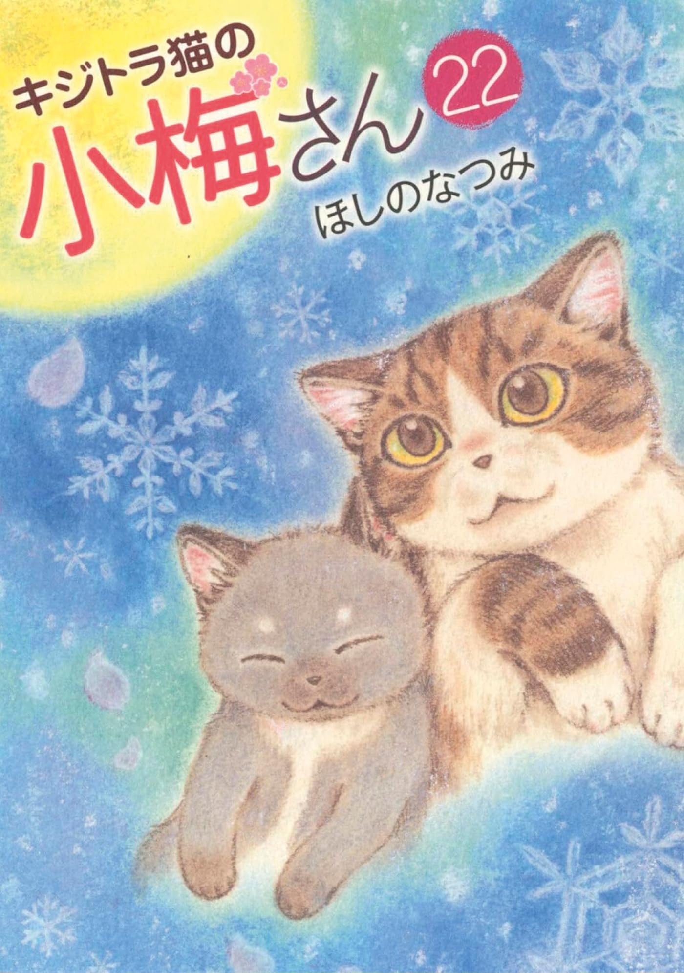jaquette album Plum, un amour de chat T22