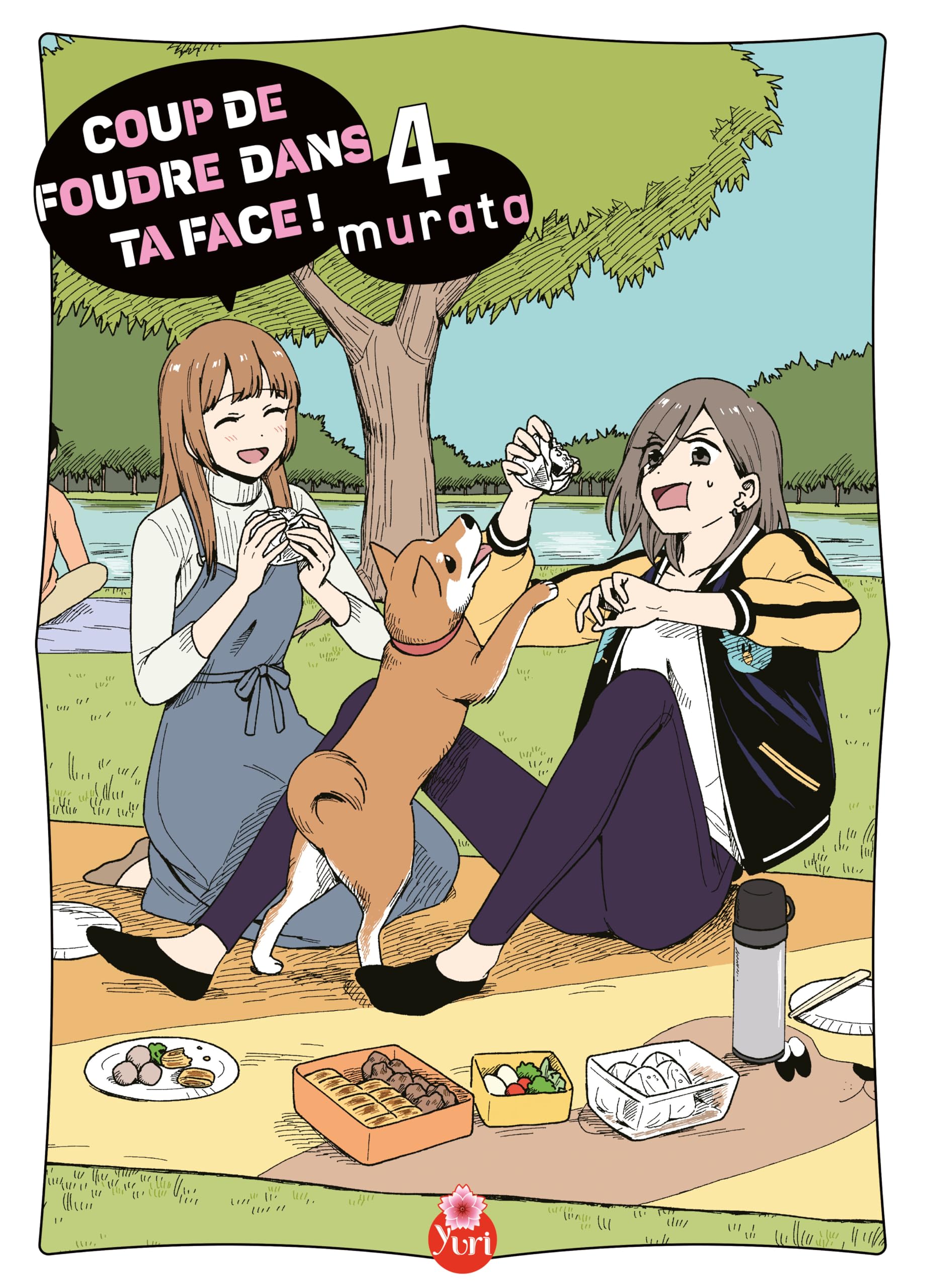 jaquette livre Coup de foudre dans ta face !: Tome 04