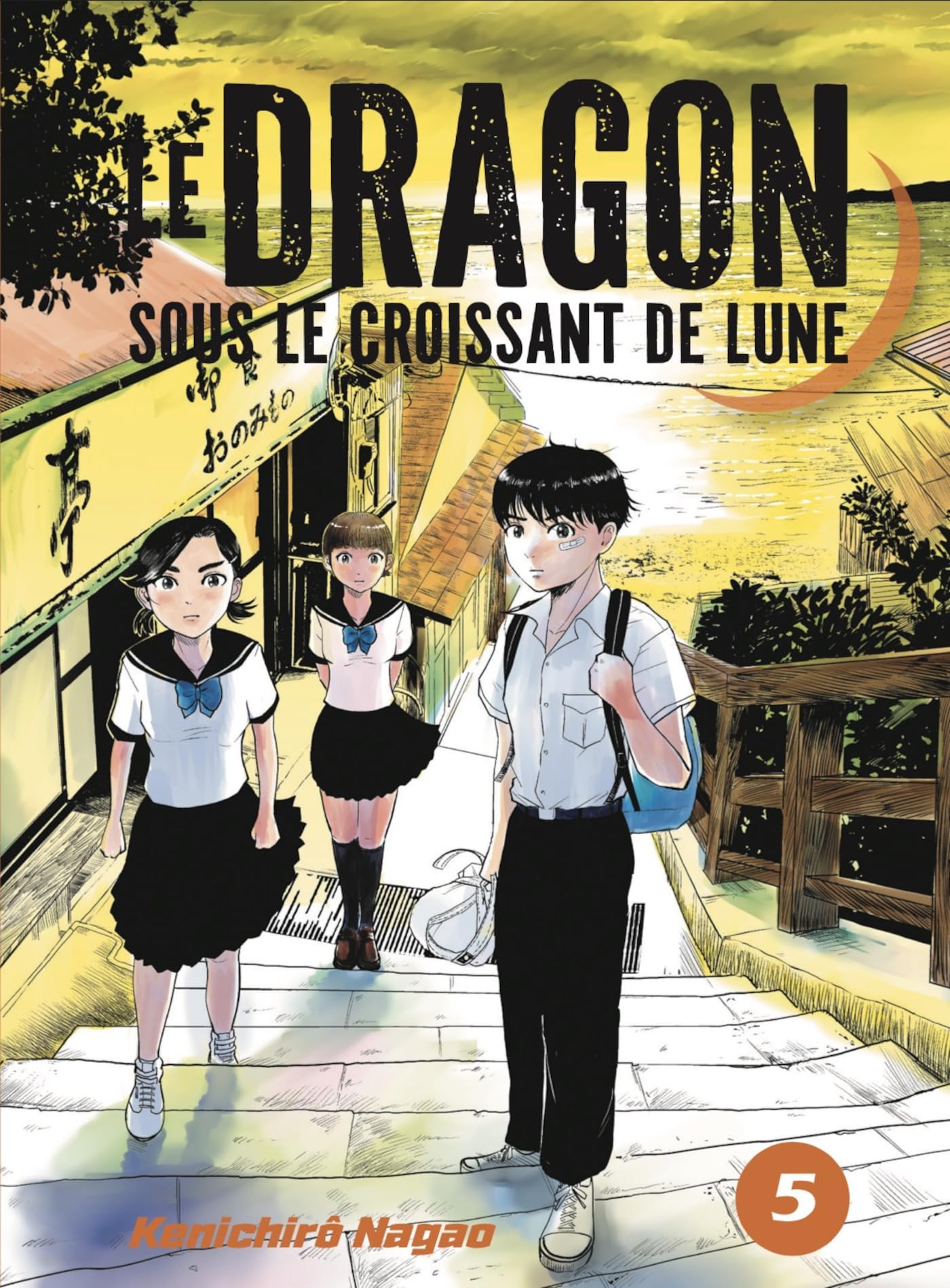 jaquette album LE DRAGON SOUS LE CROISSANT DE LUNE VOL.5