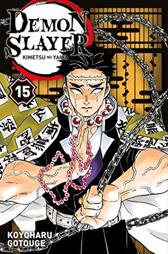 acheter Demon Slayer - Tome 15