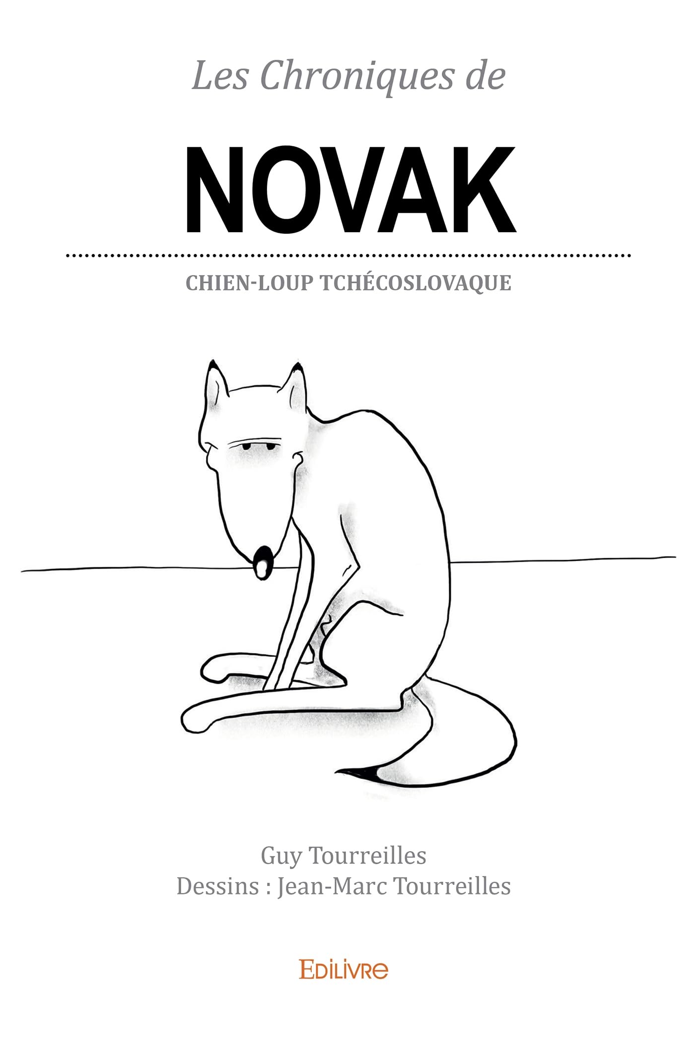 jaquette album Les Chroniques de Novak