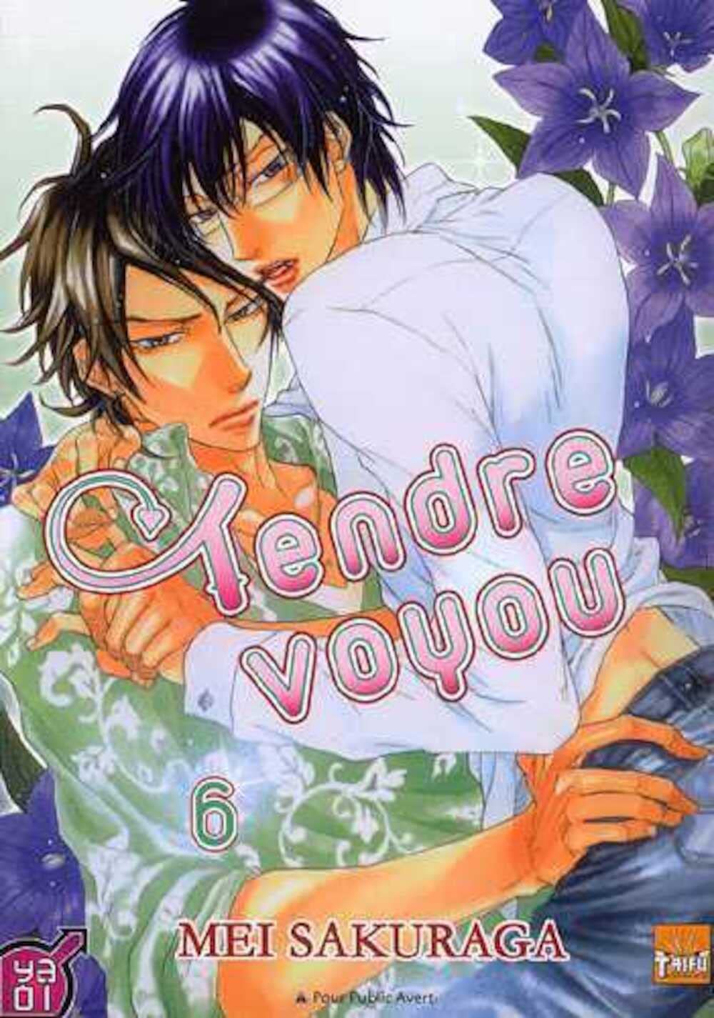 jaquette album Tendre voyou T06