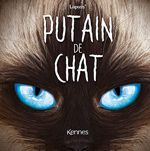 jaquette album Putain De Chat Tome 10