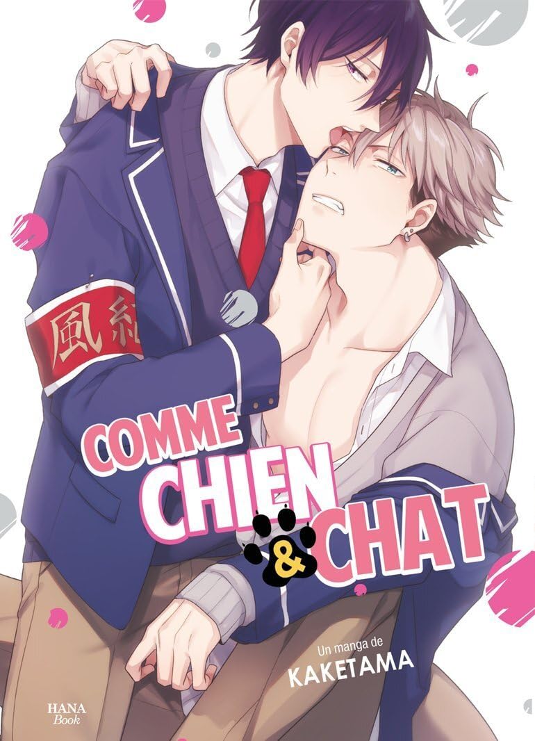 jaquette album Comme chien et chat