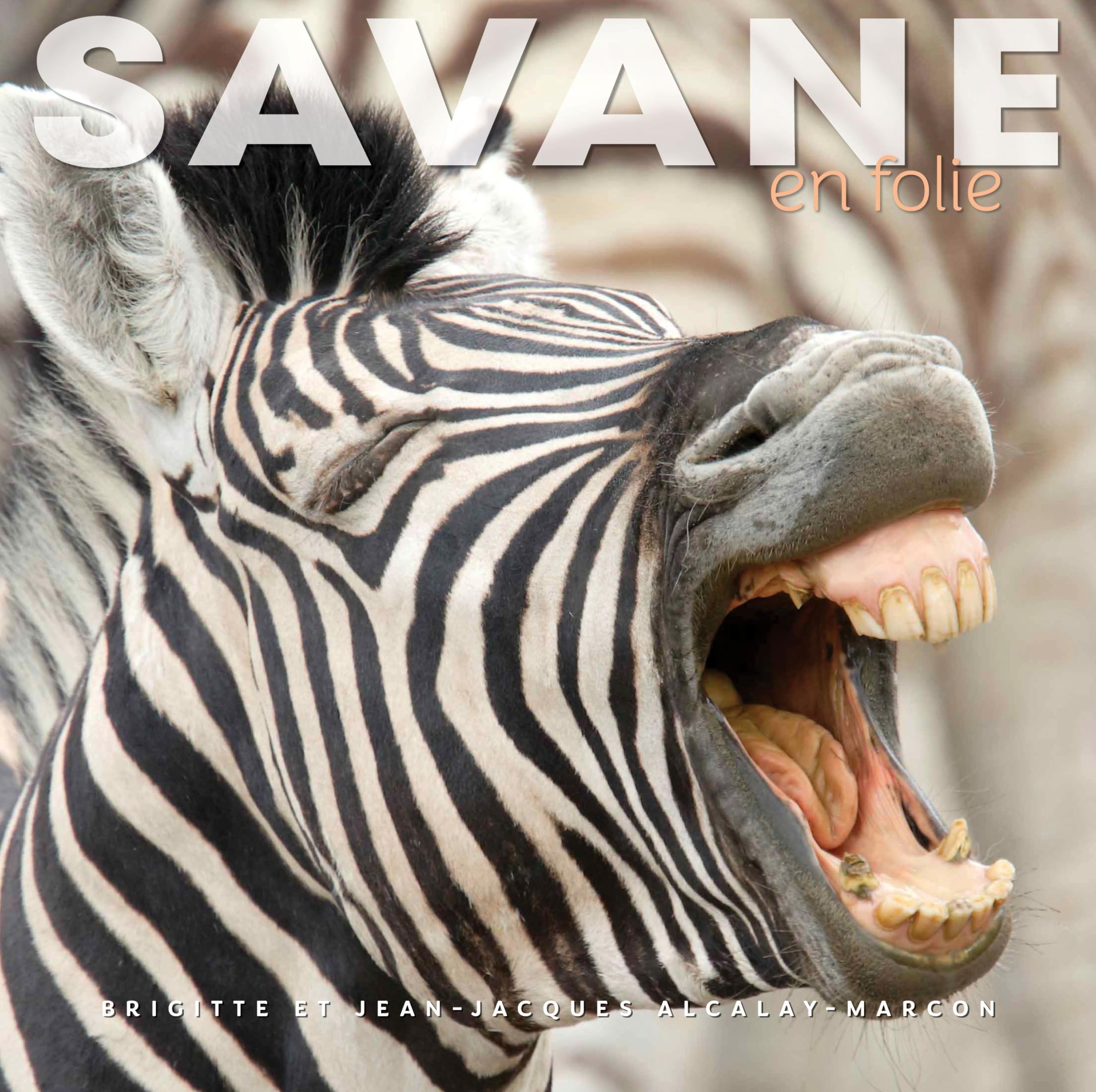 jaquette album Savane en folie